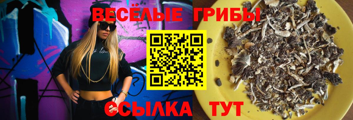 Галлюциногенные грибы мухоморы Ярцево