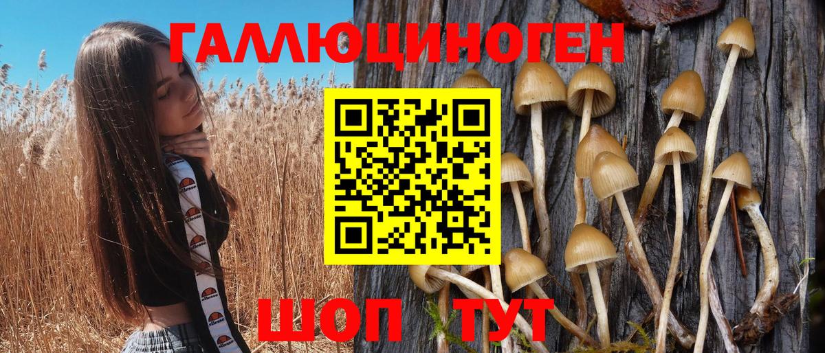 Псилоцибиновые грибы Magic Shrooms  Вход с VPN  Ярцево  Галлюциногенные грибы MAGIC MUSHROOMS 